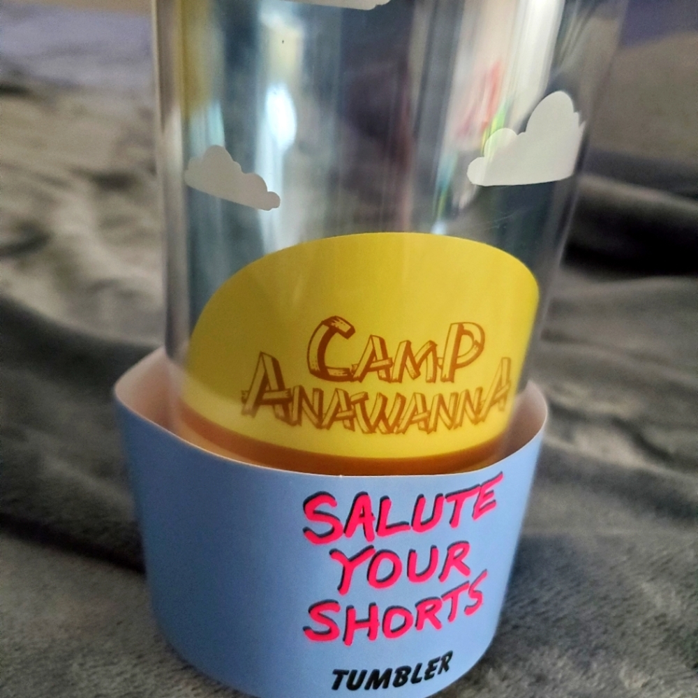💥2/$30💥 Nickelodeon Camp Anawanna Tumbler